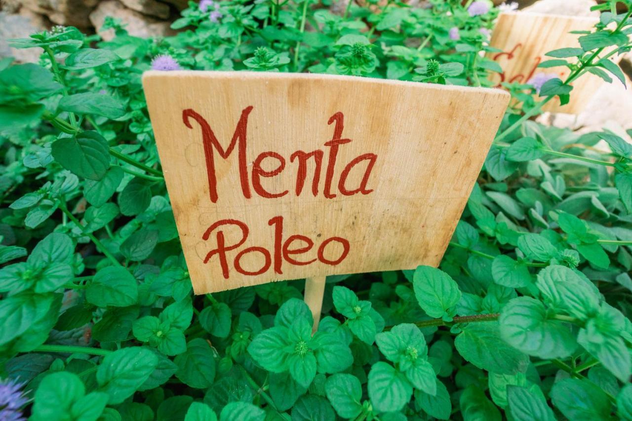 Willa Casa Emblematica Maruca Y Leli Los Silos Zewnętrze zdjęcie